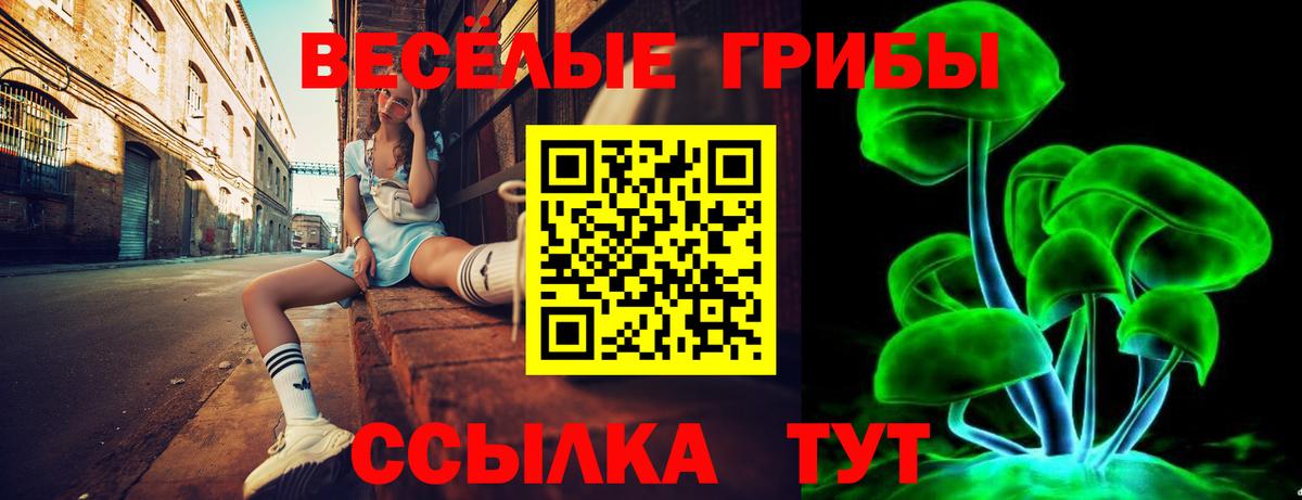 Галлюциногенные грибы Psilocybe  даркнет сайт  Кашира  Вход с VPN 