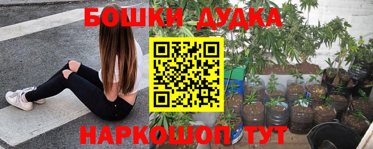 Конопля Ganja Кашира